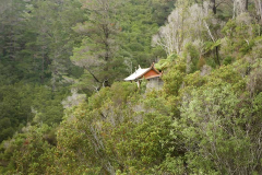 Ajahn Kusalos kuti nestled in the forest.