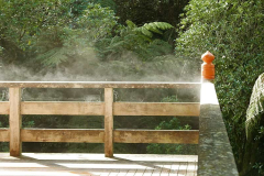 Early morning steam lifting off the handrail at the back of the sala.
