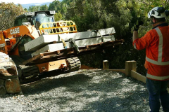 The entry step and buddha rupa base making their way to the stupa forecourt entrance.