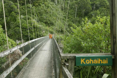 Sth. Is.: Monks crossing to the other side.