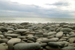 Sth. Is.: The Tasman Sea.