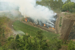 A wee burn-off to prepare for the next crop.