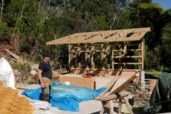 The roof framing is almost done and boxing for the rupa plinth well underway. There is lots of work still to be done but the vision is forming.