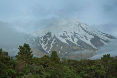 The view of Mt. Taranaki from Dawsons Falls.