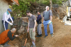 That stump is still there - a bit big for the tiny digger. We got it out in the end :)