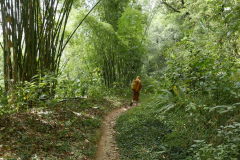 Thai tudong: Tan Khantiko knows where he is going.