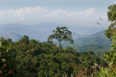 Thai tudong: the view from where we were of where we were going.