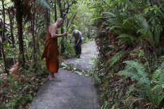 James on trimming with ajahn Jo on sweeping.