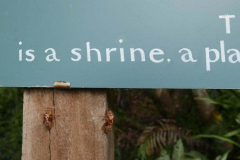 Cicada larva took the trouble to climb up and read the sign before flying up to the stupa.