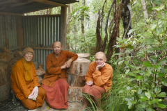 Venerables Kusalacitto Apiwat & Sambodhi take a break from carrying pine log-rounds from the forest to the woodshed.