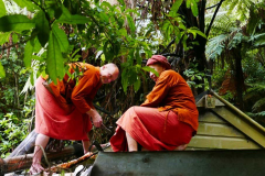 Ajahns Sambodhi and Joe doing sauna roof repairs.
