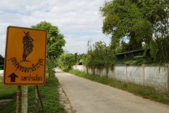 2019 Thai_Tudong
