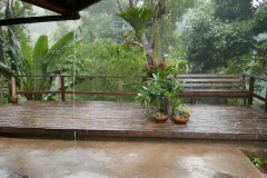 More rain.