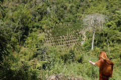 Heading back down again. Tan Khantiko points out our general direction.
