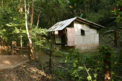 The kuti where I stayed.