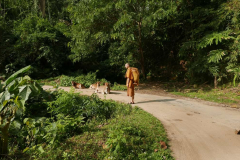 We are not lost but it always pays to check with the locals as to directions.
