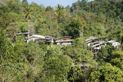 Leaving the village and heading back into the forest.