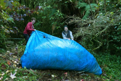 Ryan and Bruce hauling a tarp full of autumn leaves.