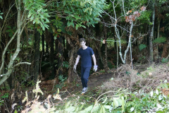 Ryan working on thinning the forest alongside the stream - below the kitchen.