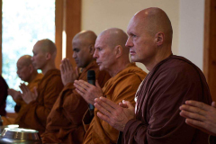 A line up of monks.