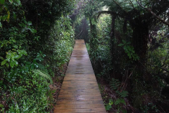 The hermitage meditation walking path.