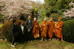 An outing to see cherry blossoms the day before the start of our group retreat. Sun!