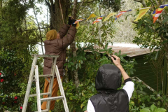 Venerable Kusalacitto hanging Kathina flags - with some supervision from Aunty Suan.