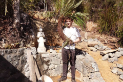 The evolving rock wall at Ajahn Kusalos kuti gets some new plants.