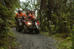 Our tree fellas heading back down the hill after clearing the pines on the new kuti site. A job well done!