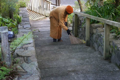The stairs down to the kitchen being carefully swept.