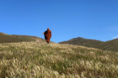 SI tudong: Wide rolling hills and an open sky to match.