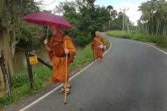 And we begin our walk. Already I am sweating. The electric fence to keep out the elephants.