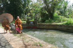 Passing through a small village to collect alms. Another waterway.