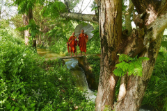 And yet another waterway. The melodic flow of water is very refreshing - to say nothing of being able to take a bath.
