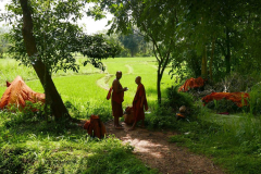 We have finished our meal and are drying our robes and generally enjoying the verdant scene.