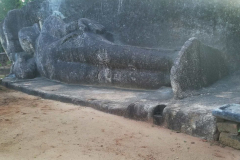 The rock cut Buddha at Buduruwayaya temple.