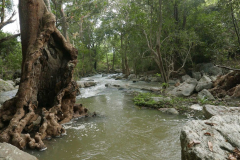 The river next to the temple where we bathed.