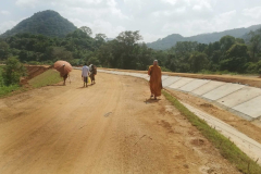 The new irrigation project is visible everywhere in this area.