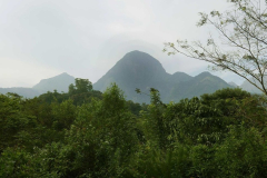 Forests and mountains.