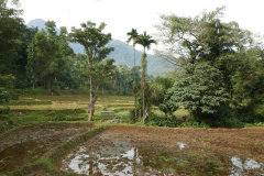 The outskirts of a small village.