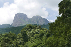 Forests and mountains.