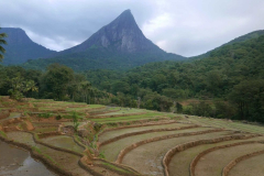 Humans have been here - in fact there are a couple in the middle between field and mountain.