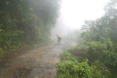 The scenery hereabouts is supposed to be stunning - but... visibility is somewhat limited.