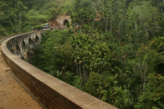 A crowd of people turn out to cheer us on - or take photos as the train crosses this historic bridge?