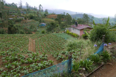 A small village along the way.