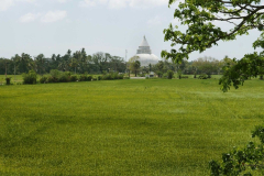 The view across the padi from the back of our house toward Tissamaharama stupa.