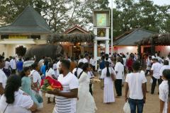 A fruit tray as an offering. The elephant is given flowers to offer at the respective (Hindu) shrines. Katragama is one of the few religious sites in Sri Lanka that is venerated by the Buddhists Hindus Muslims and the Vedda people.