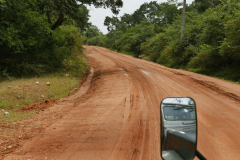 The road to Situlpahuwa temple. This is elephant country - can you spot one in the bushes?