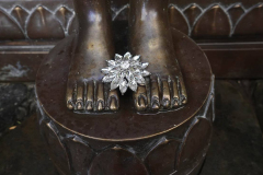 A lotus at the feet of the Buddha.