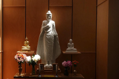 A soft light falls across the dana sala shrine. Buddha rupas from three cultures.